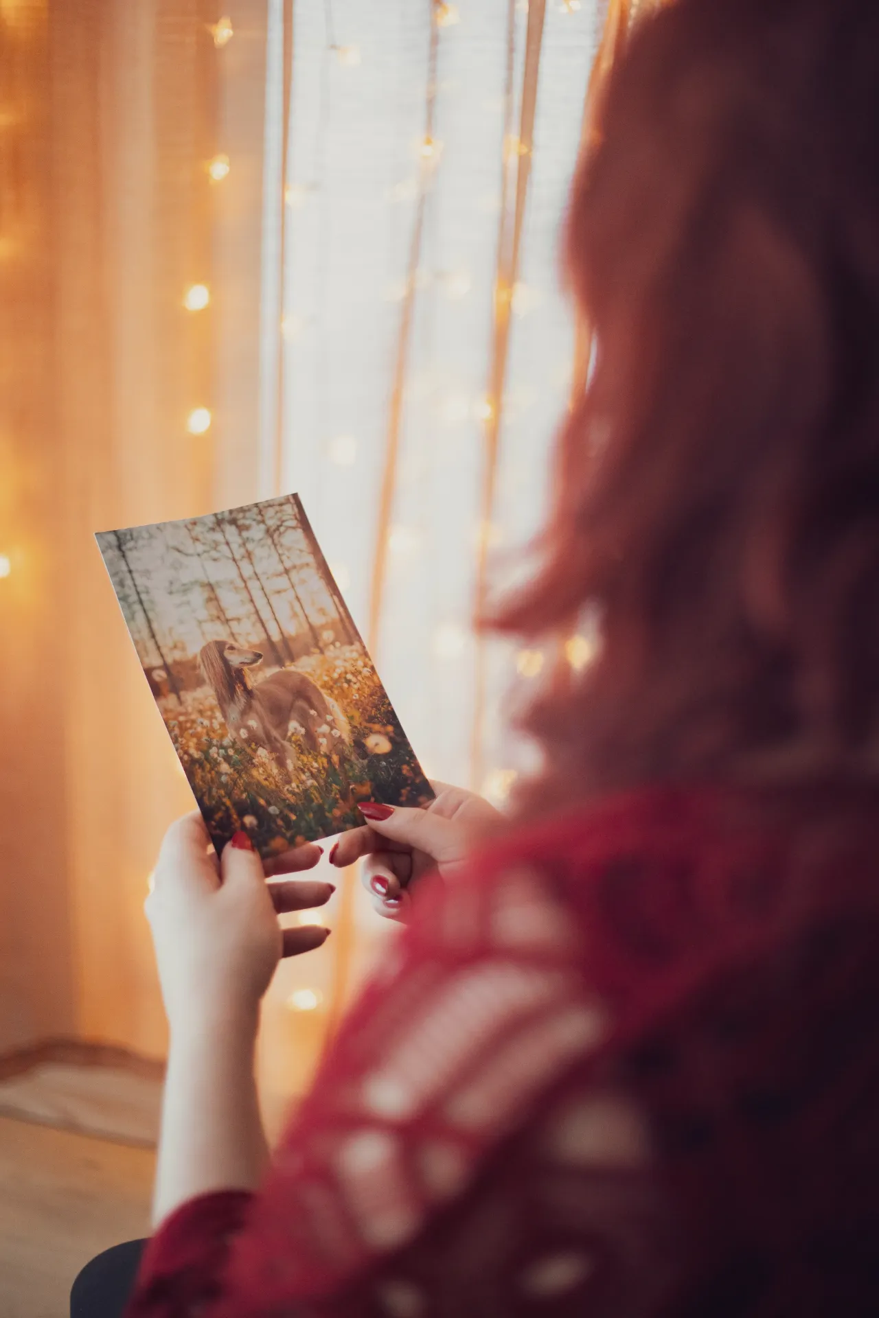 Eläinkommunikointi 30 min